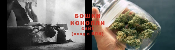 крисы Кулебаки