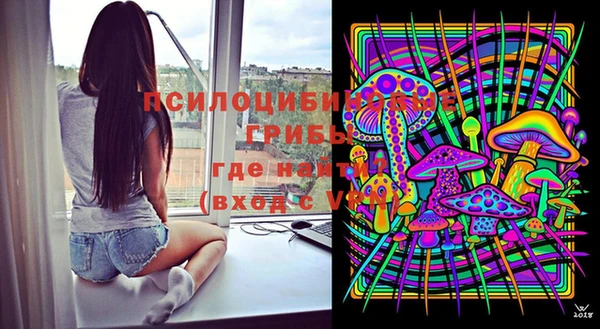 apvp Краснотурьинск