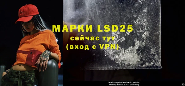 крисы Кулебаки