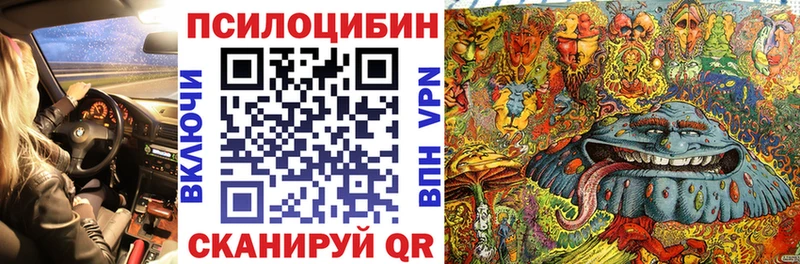 Псилоцибиновые грибы ЛСД  Купить где  Яхрома 